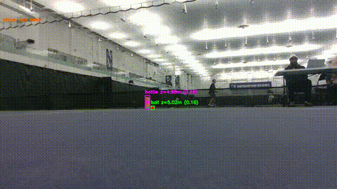 YOLOv8 water bottle detection